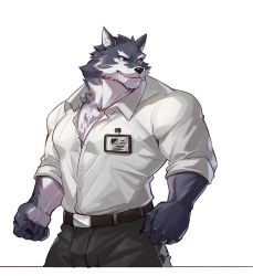 Rule 34 | 1boy, bara, belt, black belt, black pants, blue eyes, chest hair, furry, furry male, highres, large pectorals, male focus, mature male, muscular, muscular male, original, pants, pectoral cleavage, pectorals, selkiro, shirt, sleeves rolled up, solo, white shirt, wolf