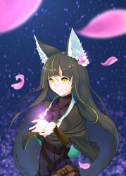 1girl absurdres animal_ear_fluff animal_ears black_dress black_hair blunt_bangs capelet cherry_blossoms closed_mouth dress falling_petals flower fox_ears fox_tail hair_flower hair_ornament highres kitsunegasaki_tametsugu long_hair night open_hands outdoors petals pink_flower solo standing tablehelpbottle tail tenka_hyakken thighhighs very_long_hair yellow_eyes