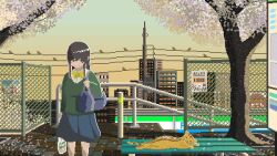 Rule 34 | 1girl, animated, animated gif, bag, bench, bird, black eyes, black hair, blinking, blue skirt, cat, closed mouth, duffel bag, evening, highres, holding, holding bag, long hair, long sleeves, looking at viewer, mae 1031, original, outdoors, pixel art, power lines, scenery, shirt, shopping bag, skirt, smile, solo, standing, white shirt