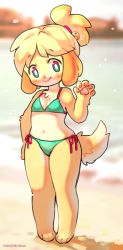 Rule 34 | 1girl, alternate costume, animal crossing, animal ears, animal hands, aqua bikini, aqua eyes, artist name, bare shoulders, barefoot, beach, bell, bikini, blonde hair, blurry, blurry background, blush, breasts, closed mouth, dated, dog ears, dog tail, female focus, full body, furry, furry female, hair bell, hair ornament, hair tie, hand up, happy, hatomura miri, highres, isabelle (animal crossing), jingle bell, looking at viewer, navel, nintendo, nose blush, ocean, outdoors, pawpads, pigeon-toed, sand, short hair, side-tie bikini bottom, small breasts, smile, solo, standing, stomach, swimsuit, tail, topknot, water, watermark, waving