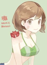 Rule 34 | 1girl, bandaid, bandaid on face, bikini, blush, breasts, brown eyes, brown hair, character name, crab, crab on shoulder, dated, green background, green bikini, kantai collection, kasumi (skchkko), medium breasts, oboro (kancolle), one-hour drawing challenge, short hair, simple background, smile, solo, swimsuit, twitter username, upper body