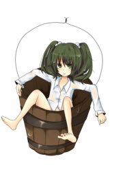 Rule 34 | 1girl, bad id, bad pixiv id, barefoot, bottomless, brown eyes, brown hair, bucket, dress shirt, feet, female focus, green eyes, green hair, in bucket, in container, kisume, see-through, shirt, simple background, sitting, solo, spread legs, touhou, umi (umi02), wet, wet clothes, white background