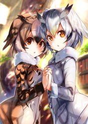 Rule 34 | 10s, 2girls, amamitsu kousuke, bookshelf, brown eyes, brown hair, chestnut mouth, commentary request, day, eurasian eagle owl (kemono friends), feathered wings, from side, fur trim, hair between eyes, head wings, holding hands, interlocked fingers, jacket, kemono friends, long sleeves, looking at viewer, multiple girls, northern white-faced owl (kemono friends), open mouth, orange eyes, short hair, silver hair, sunlight, symmetrical hand pose, tree, upper body, wings