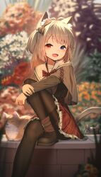 Rule 34 | 1girl, absurdres, animal, animal ear fluff, animal ears, antenna hair, black footwear, black pantyhose, blue eyes, blurry, blurry background, blush, bow, brown hair, cat, cat ears, cat girl, cat tail, flower, frilled skirt, frills, hair bow, heterochromia, highres, hoplitx, long sleeves, looking at viewer, mixed-language commentary, one side up, open mouth, original, outdoors, pantyhose, plaid, plaid skirt, pleated skirt, red eyes, red skirt, sitting, skirt, solo, tail, thighband pantyhose