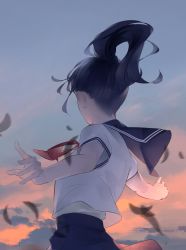Rule 34 | 1girl, black hair, blue necktie, blue skirt, blue sky, facing away, from behind, highres, long hair, necktie, original, outdoors, outstretched arms, pleated skirt, ponytail, red necktie, shirt, short sleeves, skirt, sky, solo, sousou (sousouworks), spread arms, standing, sunset, upper body, white shirt
