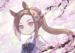 Rule 34 | 1girl, animal ears, blue bow, blue shirt, blurry, blurry background, blush, bow, branch, brown hair, closed mouth, commission, depth of field, floating hair, flower, forehead, horse ears, kibisake, long hair, looking at viewer, petals, pink flower, ponytail, puffy short sleeves, puffy sleeves, sakura bakushin o (umamusume), school uniform, shirt, short sleeves, skeb commission, smile, solo, swept bangs, tracen school uniform, umamusume, upper body