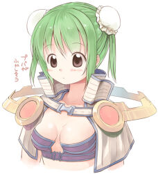 Rule 34 | 1girl, bikini, blush, breasts, breasts apart, brown capelet, brown eyes, bun cover, capelet, closed mouth, commentary request, double bun, emurin, expressionless, green hair, hair bun, looking down, purple bikini, ragnarok online, sage (ragnarok online), short hair, simple background, small breasts, solo, striped capelet, swimsuit, translation request, upper body, white background