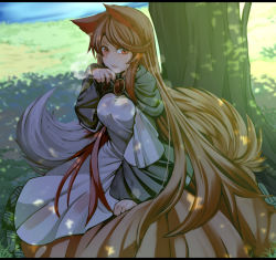 Rule 34 | 1girl, animal ears, blush, breasts, brooch, brown hair, dress, fingernails, grass, imaizumi kagerou, jewelry, lake, large breasts, long hair, long sleeves, looking at viewer, nail polish, red eyes, red nails, shade, solo, sweat, tail, tamahana, touhou, tree, wide sleeves, wolf ears, wolf tail