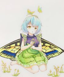 Rule 34 | 1girl, absurdres, animal, antennae, aqua hair, barefoot, besuteia, bug, butterfly, butterfly wings, dress, eternity larva, fairy, flower, green dress, hair between eyes, highres, holding, holding flower, insect, insect wings, multicolored clothes, multicolored dress, open mouth, short hair, short sleeves, sitting, solo, touhou, traditional media, wariza, wings, yellow eyes, yellow flower