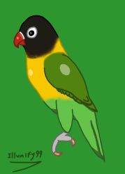Rule 34 | animal, animal focus, beak, bird, feathered wings, green background, illumify99, lovebird, masked-lovebird, parrot, procreate (medium), self-upload, simple background, tagme, wings