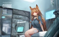 Rule 34 | 1girl, ahoge, animal ears, arknights, arm support, arms at sides, bandaid, bandaid on leg, bed, blurry, blurry background, breasts, ceobe (arknights), character name, character profile, choker, collarbone, commentary request, dog ears, hospital, hospital bed, intravenous drip, long hair, looking at viewer, on bed, red eyes, screen, shirt, short sleeves, shorts, sitting, smug, solo, tai (e3d1p), very long hair