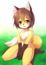 Rule 34 | 1girl, animal ears, barefoot, blush, brown eyes, furry, furry female, kagerofu, looking at viewer, solo, standing, tail