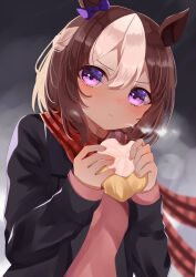 Rule 34 | 1girl, absurdres, alternate costume, animal ears, baozi, black jacket, bow, braid, brown hair, closed mouth, commentary request, ear bow, food, french braid, hair between eyes, highres, holding, holding food, horse ears, horse girl, jacket, kaoru (h8qm9), long sleeves, multicolored hair, pink sweater, plaid, plaid scarf, purple bow, purple eyes, red scarf, scarf, short hair, solo, special week (umamusume), streaked hair, sweater, umamusume, upper body, visible air, white hair