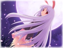 Rule 34 | 1girl, animal ears, arms behind back, blazer, blush, border, rabbit ears, dutch angle, female focus, own hands clasped, jacket, long hair, long sleeves, looking at viewer, looking back, miniskirt, moon, night, night sky, own hands together, pleated skirt, purple hair, red eyes, reisen udongein inaba, skirt, sky, smile, solo, tears, touhou, very long hair, yamasan