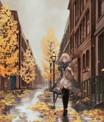 Rule 34 | 1girl, arm up, autumn, autumn leaves, bag, baguette, black thighhighs, bread, building, closed mouth, coat, dress, food, frilled dress, frills, full body, gloves, green coat, grey sky, high collar, holding, holding bag, lamppost, looking to the side, medium hair, muraicchi (momocchi), original, outdoors, paper bag, puddle, puffy short sleeves, puffy sleeves, road, short sleeves, sky, street, thighhighs, tree, walking, weapon, weapon on back, wet floor, white dress, white gloves, white hair