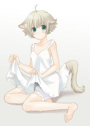 Rule 34 | 1girl, animal ears, barefoot, bloomers, clothes lift, dog ears, dog tail, dress, dress lift, feet, female focus, full body, gradient background, green eyes, mattaku mousuke, original, short hair, soles, solo, tail, toes, underwear