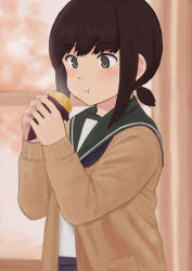Rule 34 | 10s, 1girl, :t, black hair, blurry, blurry background, blush, brown hair, cardigan, closed mouth, commentary request, curtains, eating, food, fubuki (kancolle), fuyube gin (huyube), green eyes, hair tie, holding, holding food, kantai collection, long sleeves, low ponytail, official style, open cardigan, open clothes, pocket, ponytail, revision, roasted sweet potato, school uniform, serafuku, short hair, short ponytail, sidelocks, solo, standing, sweet potato, tareme, upper body, wrapper