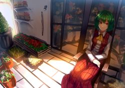 Rule 34 | 1girl, ascot, chair, florist, flower shop, green hair, highres, kazami yuuka, long sleeves, open clothes, open vest, plant, potted plant, red eyes, shirt, shop, skirt, smile, solo, touhou, u u zan, vest