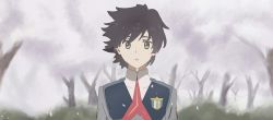 Rule 34 | 10s, 1boy, black hair, blue eyes, cherry blossoms, commentary, darling in the franxx, english commentary, grass, highres, hiro (darling in the franxx), looking at viewer, male focus, military, military uniform, necktie, nuoki, petals, red necktie, short hair, solo, tree, uniform