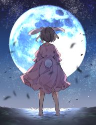 Rule 34 | 1girl, akagashi hagane, animal ears, barefoot, brown hair, commentary, dress, from behind, full body, full moon, inaba tewi, moon, night, outdoors, pink dress, rabbit ears, rabbit girl, rabbit tail, short hair, short sleeves, sky, solo, standing, star (sky), starry sky, tail, touhou, wind, wind lift