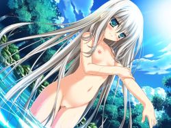 Rule 34 | 00s, 11eyes, 1girl, bathing, blush, breasts, cleft of venus, cloud, day, female focus, forest, game cg, green eyes, lisette vertorre, long hair, nature, navel, nipples, nude, outdoors, pussy, silver hair, sky, small breasts, smile, solo, standing, third-party edit, tree, uncensored, wading, water, wet