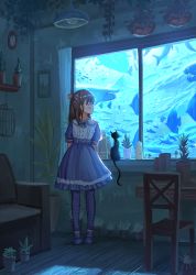 Rule 34 | 1girl, ame sagari, animal, armchair, black cat, blue bow, blue dress, blue footwear, blue pantyhose, bow, brown eyes, brown hair, cat, caustics, ceiling light, chair, curtains, dress, fish, hair ribbon, half updo, indoors, looking away, looking to the side, original, pantyhose, plant, polka dot, polka dot legwear, potted plant, profile, puffy short sleeves, puffy sleeves, red ribbon, ribbon, shelf, shoes, short sleeves, solo, standing, table, water, window