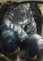 Rule 34 | 1boy, 6suan, abs, animal ears, arknights, bara, boots, bottle, car, denim, dog tags, feet out of frame, furry, furry male, highres, holding, holding bottle, jeans, large pectorals, looking at viewer, male focus, motor vehicle, mountain (arknights), muscular, muscular male, nipples, pants, pectorals, scar, scar across eye, scar on arm, scar on face, scar on leg, short hair, solo, stomach, thick thighs, thighs, tiger boy, tiger ears, topless male, torn clothes, torn pants, towel, towel around neck, white fur, white hair