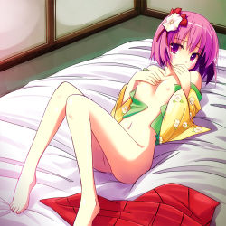 Rule 34 | 1girl, blush, bottomless, covering own mouth, female focus, flat chest, flower, futon, hair ornament, heida no akyuu, hieda no akyuu, lowres, lying, nipples, on back, open clothes, perfect memento in strict sense, purple eyes, purple hair, renee, short hair, solo, touhou