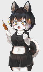 Rule 34 | + +, 1girl, :3, :d, animal ears, dango, dog ears, dog girl, dog tail, fang, food, food on face, furry, furry female, holding, holding food, midriff, nyifu, open mouth, original, short shorts, shorts, simple background, skewer, smile, solo, tail, wagashi