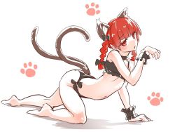 Rule 34 | 1girl, all fours, animal ears, arched back, asutora, black bow, bow, braid, cat ears, cat lingerie, claw pose, collar, commentary request, from side, hair bow, hand up, kaenbyou rin, looking at viewer, looking to the side, meme attire, multiple tails, nekomata, one-hour drawing challenge, parted lips, paw print, red eyes, red hair, simple background, solo, tail, touhou, twin braids, two tails, white background, wrist cuffs