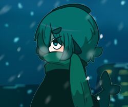 Rule 34 | 1girl, black jacket, blue eyes, blue hair, blue sky, breath, building, chibi, commentary request, fins, fish tail, from side, fuka-chan, green scarf, hair between eyes, highres, jacket, night, night sky, original, outdoors, profile, scarf, shark tail, short eyebrows, sky, snowing, solo, tail, thick eyebrows, uni souchou, upper body
