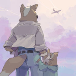 Rule 34 | age difference, aircraft, airplane, belt, child, day, family, father and son, fox mccloud, from behind, furry, furry male, glasses, jacket, james mccloud, lowres, nemurism, nintendo, oekaki, sky, star fox, sunglasses, sunset, tail, aged down
