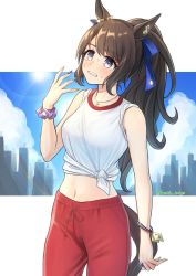 Rule 34 | 1girl, absurdres, alternate hairstyle, animal ears, bracelet, breasts, brown hair, clenched teeth, cowboy shot, fanning self, grey eyes, highres, horse ears, horse girl, horse tail, jewelry, lens flare, long hair, medium breasts, midriff, navel, necklace, pants, ponytail, red pants, ring, scrunchie, shirt, sleeves rolled up, solo, sun, sweat, sweatpants, tail, teeth, tohka 10days, tosen jordan (umamusume), twitter username, umamusume, white shirt, wrist scrunchie