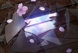 Rule 34 | blurry, broken glass, cherry blossoms, commentary request, depth of field, flower, glass, mocha (cotton), no humans, original, petals, reflection, scenery, signature, spring (season), window