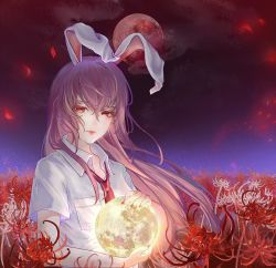 Rule 34 | 1girl, animal ears, chinese commentary, cloud, commentary request, crying, crying with eyes open, expressionless, field, fingernails, flower, flower field, gyokudama (niku), hair between eyes, hair blowing, highres, holding, lips, long hair, looking at viewer, loose necktie, moon, nail polish, necktie, night, night sky, open collar, outdoors, petals, purple hair, rabbit ears, red eyes, red moon, red nails, red necktie, reisen udongein inaba, shirt, short sleeves, sky, solo, spider lily, tears, touhou, upper body, very long hair, white flower, white shirt, white spider lily, wind