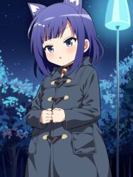 Rule 34 | 1girl, animal ears, bell, black coat, black collar, blue eyes, blue hair, blush, cat ears, clenched hands, coat, collar, commentary request, cowboy shot, dark blue hair, fake animal ears, fuiba fuyu, gochuumon wa usagi desu ka?, hair ornament, hairclip, hemonemo, jingle bell, neck bell, night, outdoors, own hands together, paid reward available, parted lips, short hair, solo, star (sky)