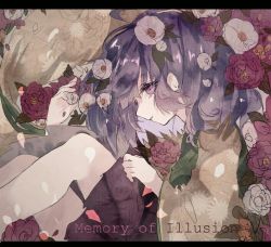 Rule 34 | 1girl, commentary request, english text, fetal position, floral background, flower, green kimono, hair flower, hair ornament, hieda no akyuu, japanese clothes, kimono, leaf, letterboxed, long sleeves, looking at viewer, medium hair, multicolored clothes, petals, plant, profile, purple eyes, purple hair, purple skirt, red flower, shinjitsu no kuchi, skirt, solo, touhou, white flower, wide sleeves, yellow kimono