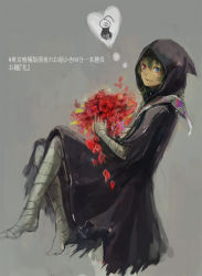 Rule 34 | 1girl, bandaged arm, bandaged hand, bandaged leg, bandages, blue eyes, cloak, eto (tokyo ghoul), flower, from side, gradient background, green hair, grey background, heterochromia, holding, holding flower, hood, hood up, hooded cloak, knees up, noro (tokyo ghoul), red eyes, red flower, short hair, smile, solo, spoken character, straw like, thought bubble, tokyo ghoul, translation request