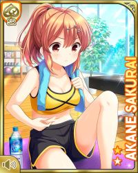 Rule 34 | 1girl, black shorts, bra, breasts, brown eyes, brown hair, card (medium), cleavage, closed mouth, girlfriend (kari), gym, indoors, looking at viewer, midriff, navel, official art, ponytail, qp:flapper, sakurai akane (girlfriend), shirt, shorts, sitting, sports bra, tagme, underwear, workout clothes, yellow bra