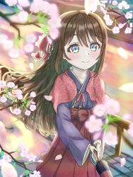 Rule 34 | 1girl, aqua eyes, artist name, artist request, blue eyes, blue kimono, blush, bow, breasts, brown hair, capelet, closed umbrella, collarbone, female focus, hair between eyes, hair bow, hakama, hakama skirt, highres, holding, holding umbrella, japanese clothes, kimono, long hair, looking at viewer, love live!, love live! nijigasaki high school idol club, love live! school idol festival, osaka shizuku, outdoors, parted lips, petals, pink capelet, pink petals, ponytail, red bow, red hakama, red ribbon, red umbrella, ribbon, skirt, small breasts, smile, solo, striped clothes, striped kimono, umbrella, vertical-striped clothes, vertical-striped kimono