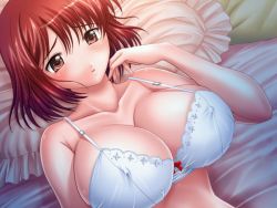 Rule 34 | 1girl, bed, blush, bra, breasts, chichi ijime bakunyuu shimai kyouentan, cleavage, collarbone, covered erect nipples, discovery mars, frilled bra, frills, game cg, genzou, huge breasts, kagano kotone, lingerie, lying, on back, pink eyes, red eyes, red hair, short hair, solo, strap gap, tareme, taut clothes, underwear, wallpaper
