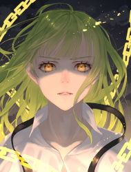 Rule 34 | 1boy, androgynous, bad id, bad pixiv id, bishounen, chain, enkidu (fate), fate/strange fake, fate (series), green hair, grey background, highres, long hair, looking at viewer, male focus, nyaon oekaki, parted lips, portrait, solo, yellow eyes