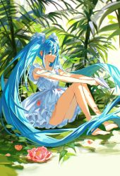 Rule 34 | aimitkkays, aqua hair, bare arms, bare legs, bare shoulders, barefoot, blue eyes, blue hair, blurry, dappled sunlight, day, depth of field, dress, floating hair, flower, frills, hair ornament, hair scrunchie, hatsune miku, highres, holding, holding paper, knees up, long hair, looking afar, nature, outstretched arms, own hands together, palm tree, paper, paper airplane, pink flower, scrunchie, short dress, sitting, sleeveless, sleeveless dress, solo, sundress, sunlight, tree, twintails, v arms, very long hair, vocaloid, white dress