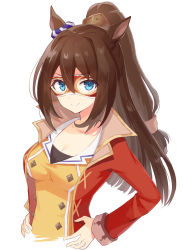 Rule 34 | 1girl, animal ears, barufoa, blue eyes, breasts, brown hair, cleavage, closed mouth, coat, cropped torso, domino mask, el condor pasa (umamusume), hands on own hips, high ponytail, horse ears, long sleeves, mask, medium breasts, ponytail, red coat, shirt, simple background, smile, solo, umamusume, upper body, white background, yellow shirt