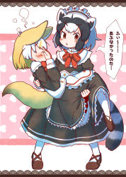 Rule 34 | 2girls, alternate costume, animal ears, apron, bad id, bad pixiv id, black footwear, black hair, blonde hair, blush, bow, bowtie, brown eyes, carrying, commentary request, covering face, dress, embarrassed, enmaided, extra ears, closed eyes, fennec (kemono friends), fox ears, fox tail, frilled dress, frills, full body, furrowed brow, hands on own face, heart, heart background, highres, kemono friends, long dress, long sleeves, maid, maid headdress, medium hair, multicolored hair, multiple girls, open mouth, princess carry, raccoon ears, raccoon tail, rakugakiraid, shoes, sidelocks, socks, striped, striped tail, tail, translation request, waist apron, white hair, white legwear