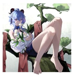 Rule 34 | 1girl, absurdres, ahoge, baiyinzhideng, bare legs, black shorts, blue hair, border, breasts, butterfly choker, camisole, casual, detached collar, flower, full body, ganyu (genshin impact), genshin impact, goat horns, hair between eyes, hair flower, hair ornament, highres, holding, holding flower, horns, knees up, leaf, light smile, looking at viewer, loose clothes, loose shirt, medium breasts, medium hair, no shoes, off shoulder, purple eyes, reclining, red scarf, scarf, shirt, shorts, sidelocks, sitting on branch, solo, tassel choker, toenails, tulip, white border, white camisole, white flower, white shirt, white tulip