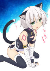 Rule 34 | 1girl, animal ears, arm belt, bandaged arm, bandages, bare shoulders, black panties, black thighhighs, blush, cat ears, cat tail, fate/apocrypha, fate (series), fingerless gloves, gloves, green eyes, hair between eyes, jack the ripper (fate/apocrypha), kazawa (tonzura-d), kemonomimi mode, multicolored background, no shoes, open mouth, panties, scar, scar across eye, scar on face, short hair, shoulder tattoo, silver hair, single glove, sitting, solo, star (symbol), tail, tattoo, thighhighs, two-tone background, underwear