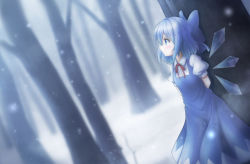 Rule 34 | 1girl, arms behind back, blue dress, blue eyes, blue hair, blurry, blurry background, blush, cirno, commentary request, dress, dutch angle, feet out of frame, forest, hair between eyes, ice, ice wings, nature, neck ribbon, nullpuni, outdoors, profile, puffy short sleeves, puffy sleeves, red ribbon, ribbon, shirt, short hair, short sleeves, sidelocks, snow, snowing, solo, standing, touhou, tree, white shirt, wing collar, wings