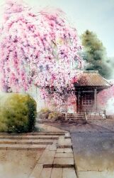 Rule 34 | architecture, autumn leaves, building, bush, cherry blossoms, day, east asian architecture, hedge, highres, no humans, original, painting (medium), scenery, shadow, shimizu megumi (m acquerello), traditional media, tree, watercolor (medium)