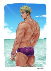 Rule 34 | 1boy, ass, bara, beach, dark-skinned male, dark skin, green hair, jewelry, king of prism, king of prism by prettyrhythm, looking at viewer, male focus, male swimwear, maut, muscular, muscular male, necklace, pectorals, pretty rhythm, pretty series, purple male swimwear, short hair, sideburns, sidepec, solo, swim briefs, thighs, topless male, wading, water, wet, wet hair, yamato alexander
